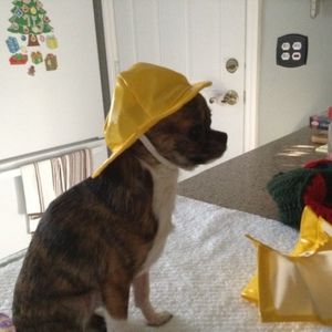 Meet your Posher, Edeltraud